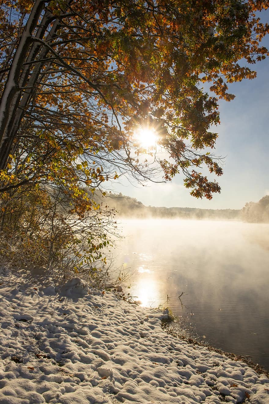 riu, neu, sortida del sol, boira, sol, llum solar, reflexió, aigua, al matí, hivern, arbres