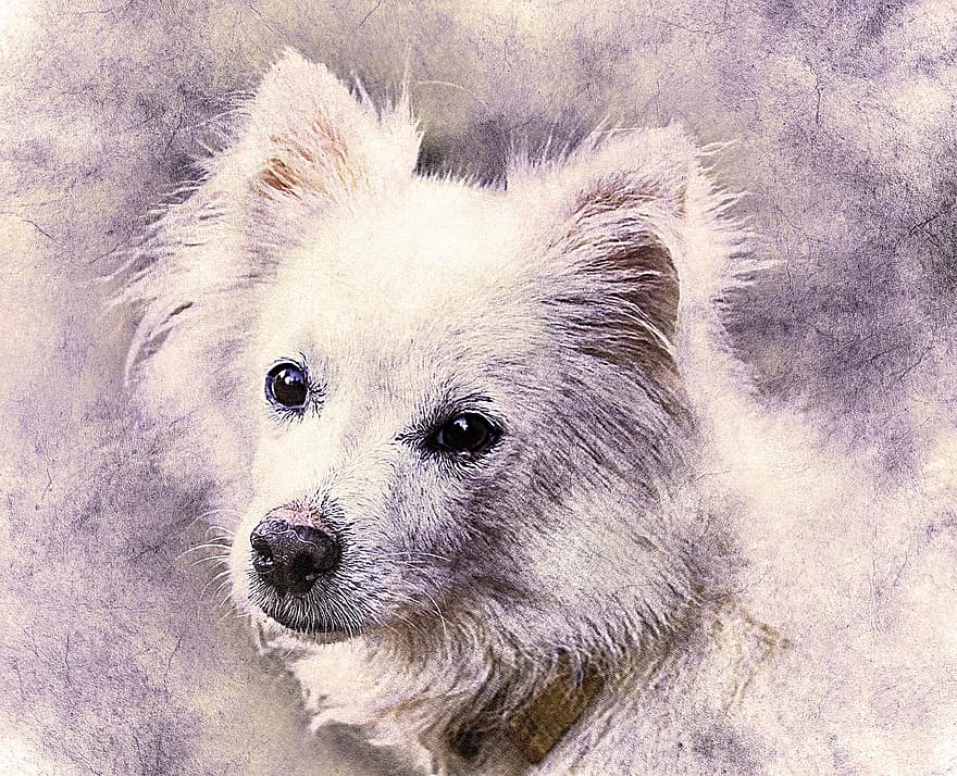Dog, Puppy, Pet, Art, Nature, Abstract, Watercolor, Vintage, Animal, Artistic, Design
