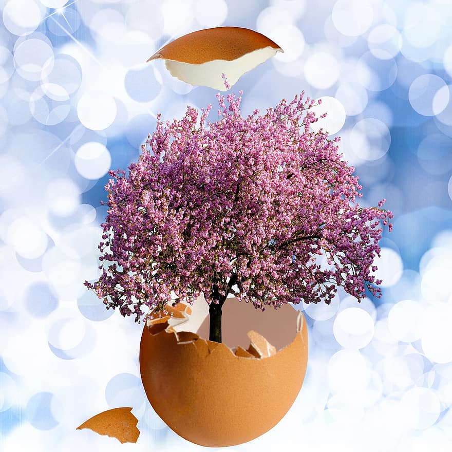 cáscara de huevo, árbol, bokeh, fondo, primavera, magnolia, las flores, flor, huevo
