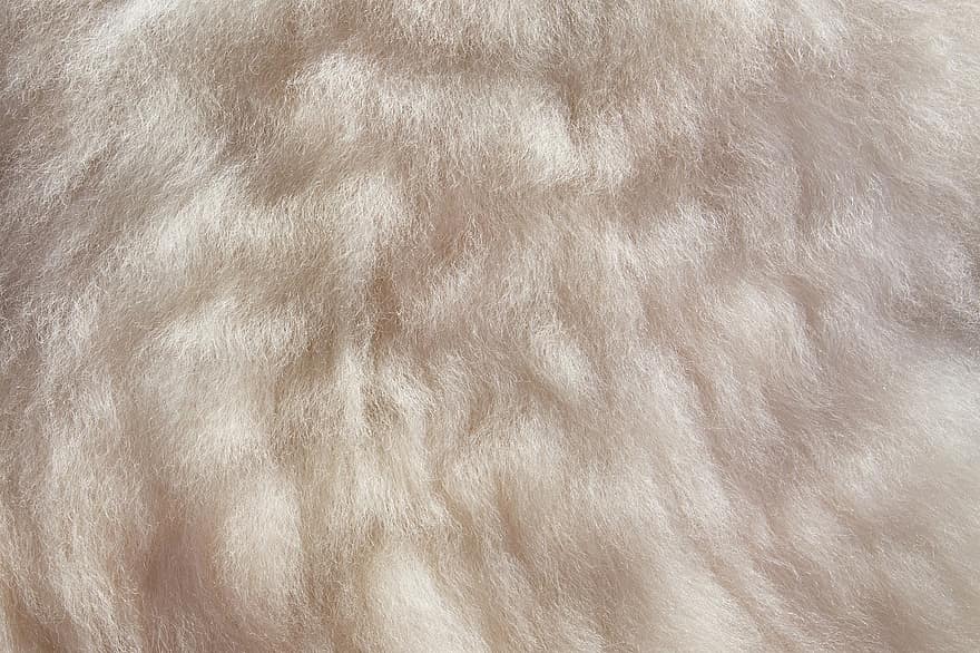 dyrepels, fleece, Dyrefrakke, hvid pels, fiber, baggrund, stof