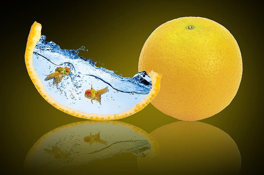фантазія, апельсинові фрукти, золота рибка, води, рефлексія, хвиля, фрукти, їжа, помаранчевий, цитрусові, плавати