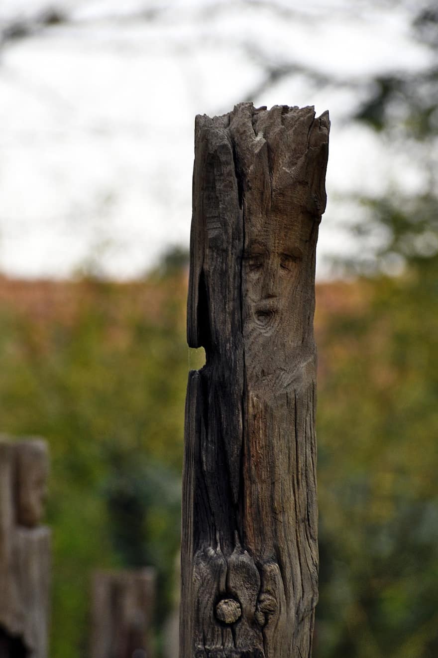 escultura em madeira, exibição, madeira, velho, cerca, intemperizado, prancha, focar em primeiro plano, árvore, fechar-se, floresta