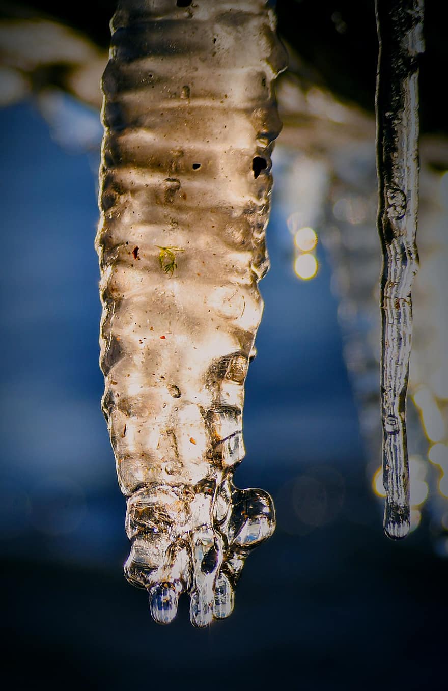 Icicle, Winter, Frozen, Cold, Snow, Season, close-up, water, drop, freshness, backgrounds