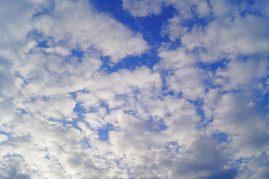 núvols, cel, blau, temps, atmosfera, aire, Cúmulus, bonic, horitzó, sol, dia