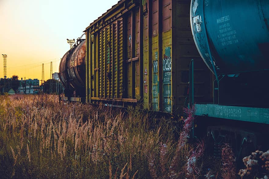 Железнодорожный, поезд, грузовой, заброшенный, поле, цветы