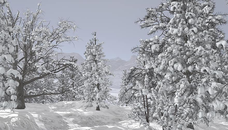 vinter-, landskap, snö, vintrig, träd, frost, vinterträd