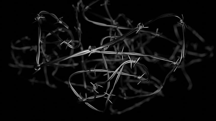 Barbed Wire, Dictatorship, Human Rights, Prison, Prisoner, Oppression, Liberty, close-up, sharp, backgrounds, macro