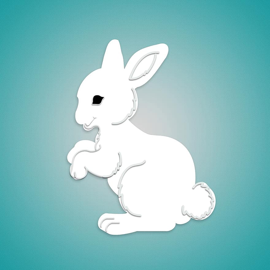 conill, blanc, disseny, animal, bonic, Pasqua, conejo