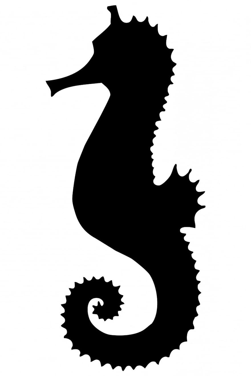Seahorse, Black, Silhouette, Shape, Animal, Sea Life