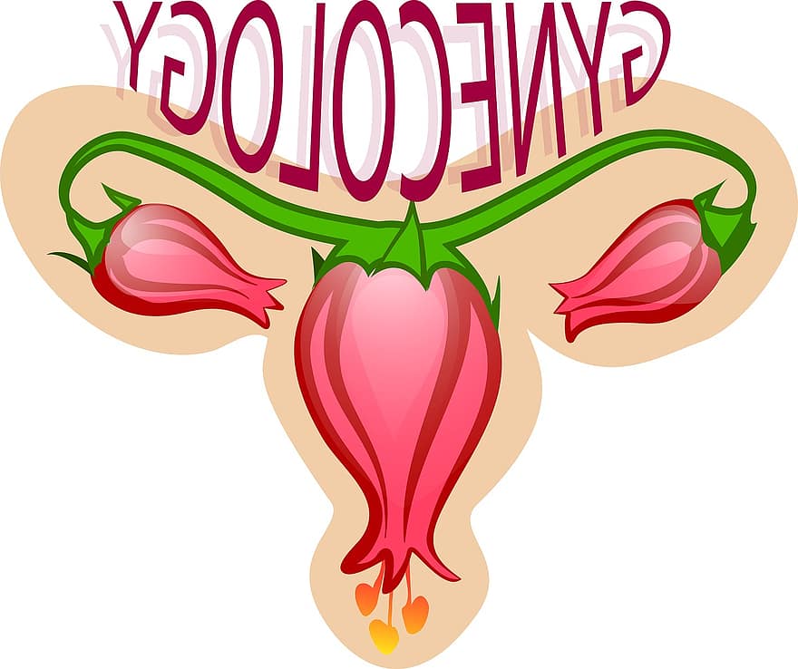 ginecología, flor, útero, Ovarios, símbolo, emblema, logo, firmar, para diseño
