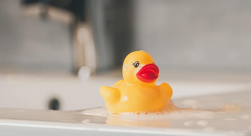 Rubber Duck, Toy Duck, Bath, Duck, Wet, Soap Bubble