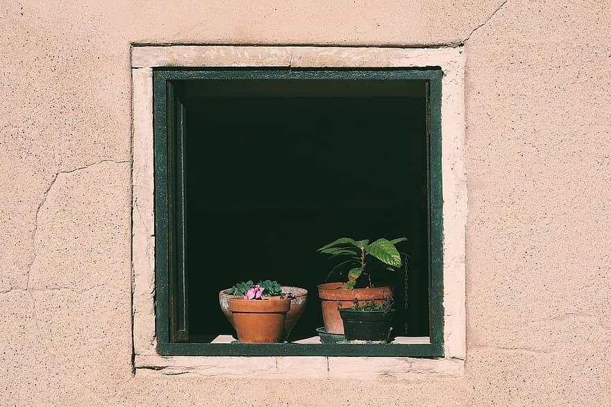 finestra, testos de flors, plantes en test, plantes, ampit de la finestra, perspectiva, perspicàcia, planta, flor, test de flor, arquitectura