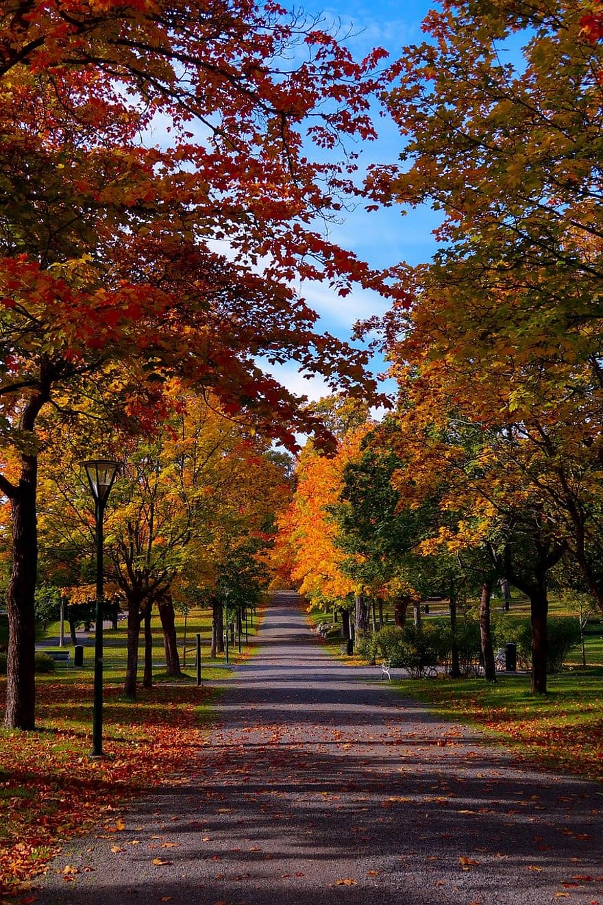 ruduo, parkas, Švedija
