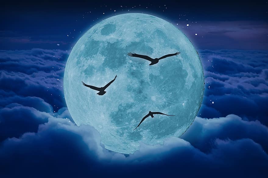 lua, passarinhos, nuvens, mosca, acima das nuvens, aéreo, atmosfera, voar, fofo, nublado, cloudscape