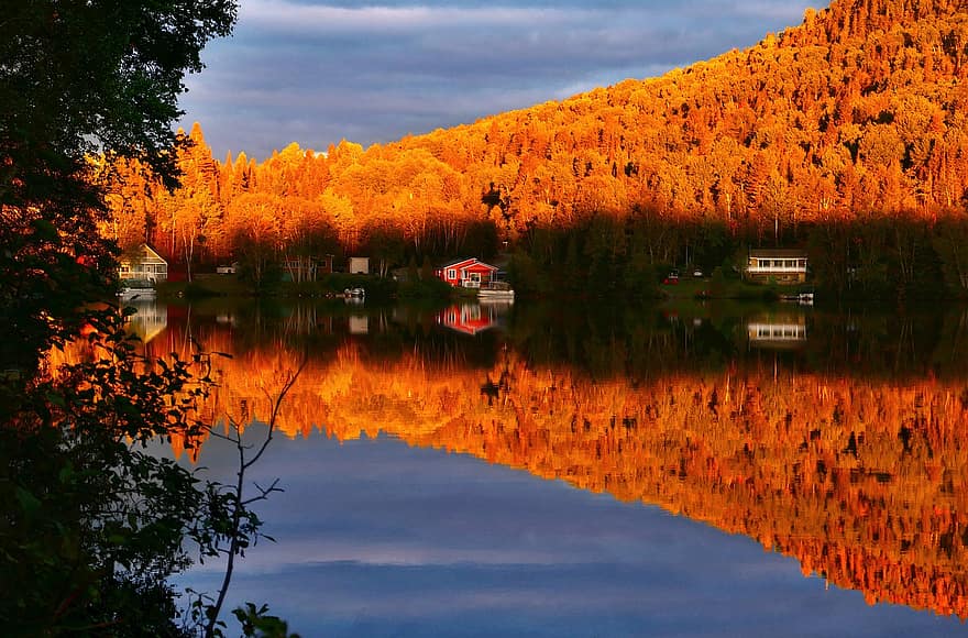 lac, case, copaci, Case din lac, pădure, Foliag de toamnă, frunze de toamna, reflecţie, imagine in oglinda, oglindire, apele calme