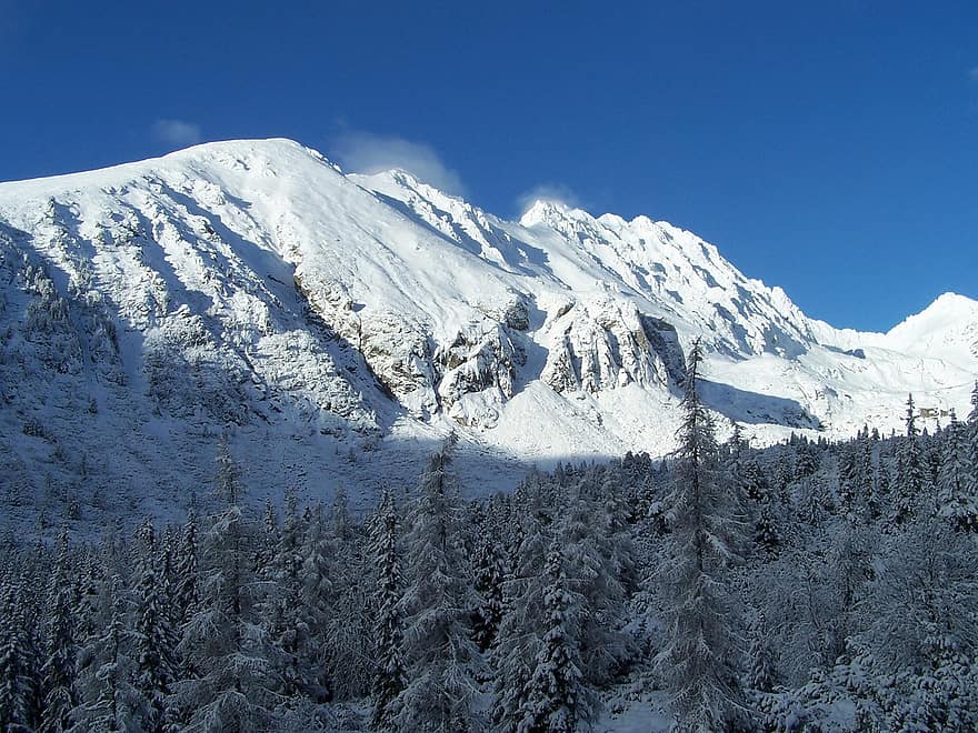 montagne, Monti Tatra, inverno, foresta, alberi, natura, la neve, montagna, paesaggio, ghiaccio, blu