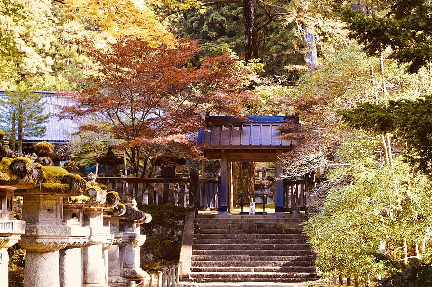 寺院、階段、木、神社、石のランプ、瞑想、森林、秋、葉、建築、木材