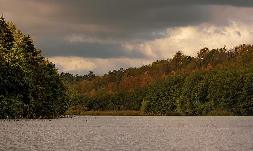 Forest, Trees, Lake, Clouds, Water, Autumn, Nature, Sky, Scenic
