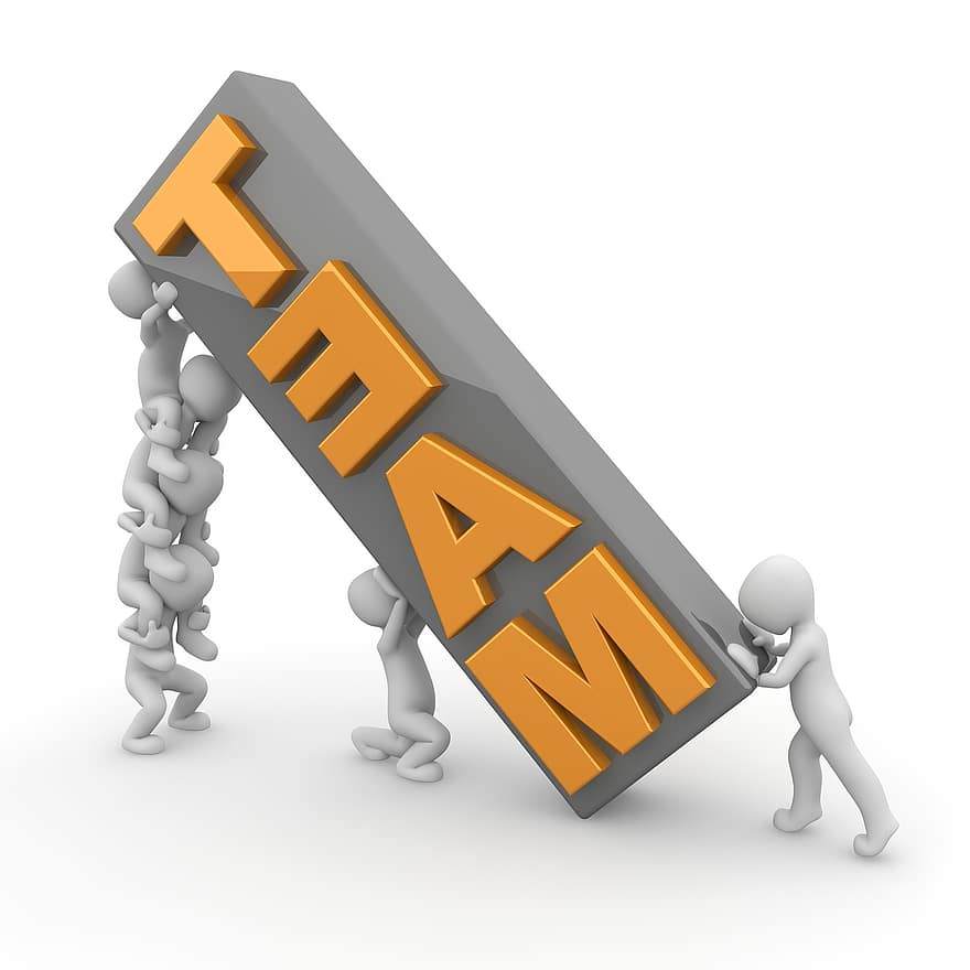 equipe, cooperação, coesão, grupo, parceria, juntos, trabalho em equipe, Espírito de equipe, humano