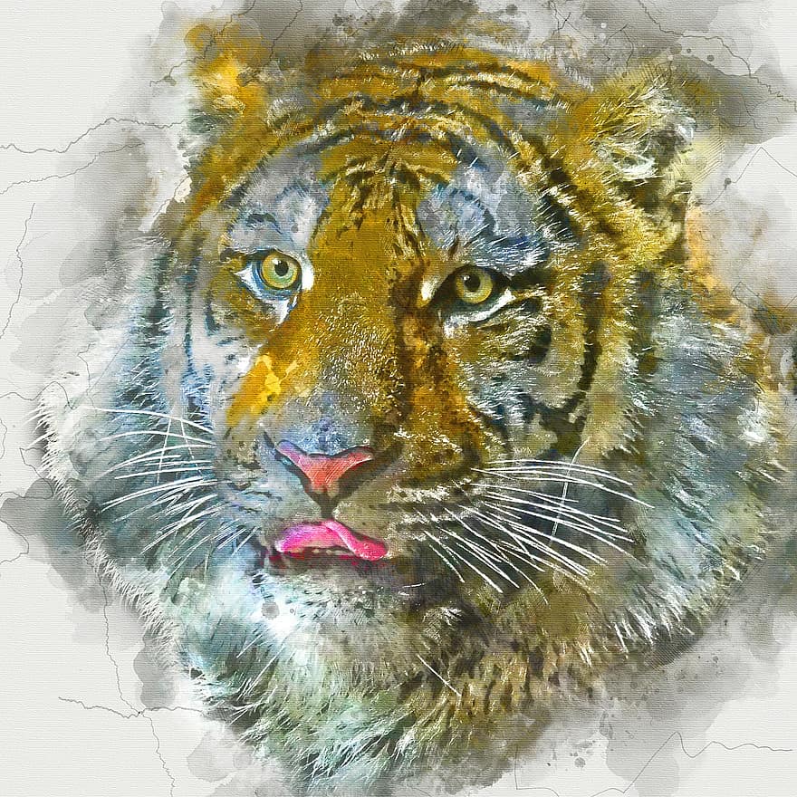 Tiger, Animal, Head, Amur Tiger, Siberian Tiger, Big Cat, Predator, Wildlife, Dangerous, Whiskers, Portrait