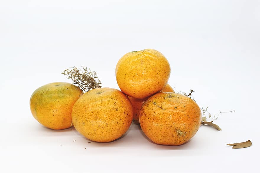 sinaasappels, fruit, citrus-, citrus vruchten, oogst, produceren, biologisch, vers, vers fruit