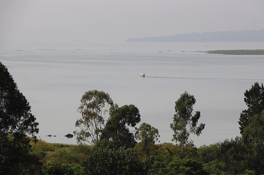 jezero, stromy, Příroda, mlha, loď, cestovat, voda, scenérie, Bahir Dar, Jezero Tana, Etiopie