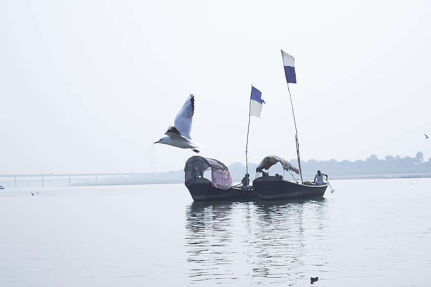 Boats, Men, River, Ganges, India, Allahabad, Hindu, Hinduism, Religion, Holy, Ghat