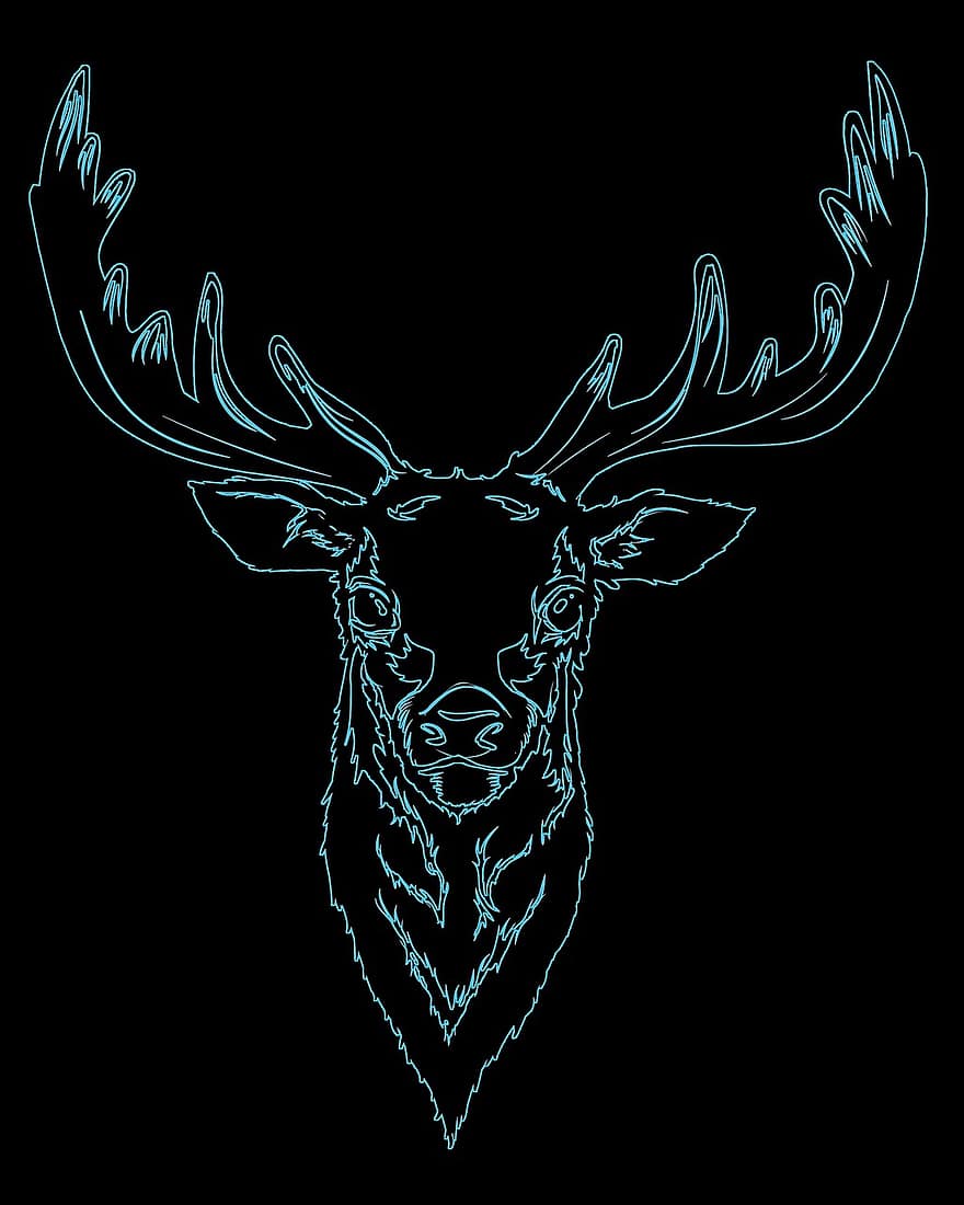 Animal, Deer, Wildlife, Mammal, Wild, Art, Design, Wallpaper, Background, illustration, vector