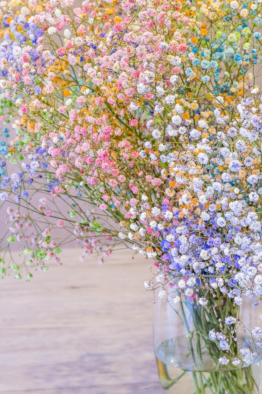 fleurs, fleurs blanches, Contexte, ornement, les accessoires, gypsophile, bouquet, rose, violet, bleu, vase
