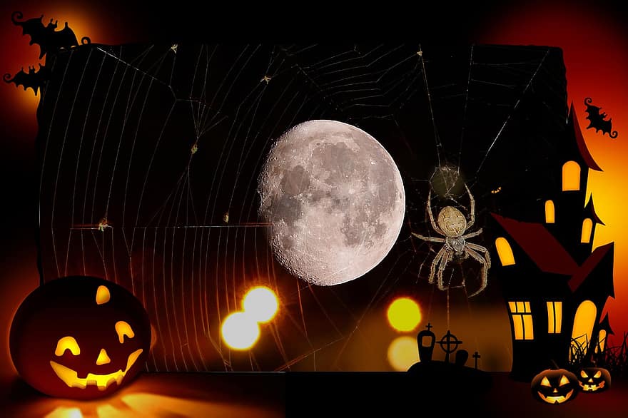 halloween, halloween affisch, halloween bakgrund, måne