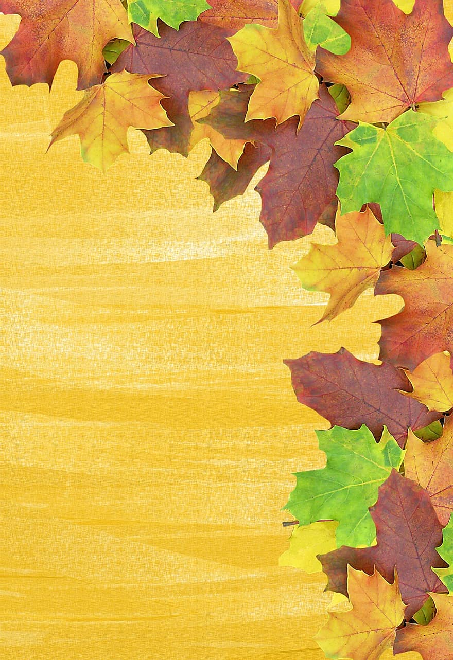 есен, заден план, листа, се появяват, канцеларски материали, цветен, цвят