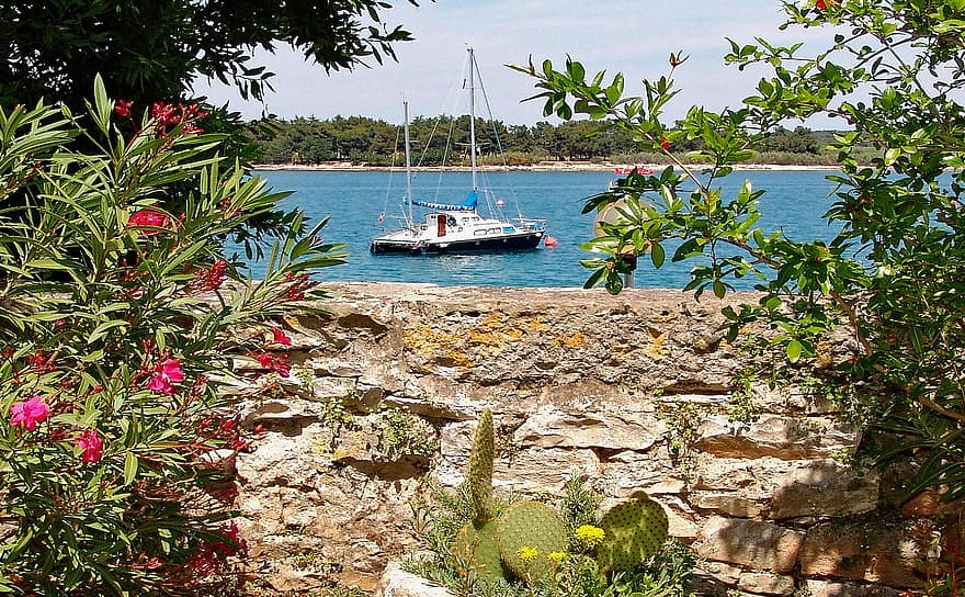 Croaţia, Istriei, novigrad, mare, coastă, apă, natură, barcă cu vele, perete, vegetație