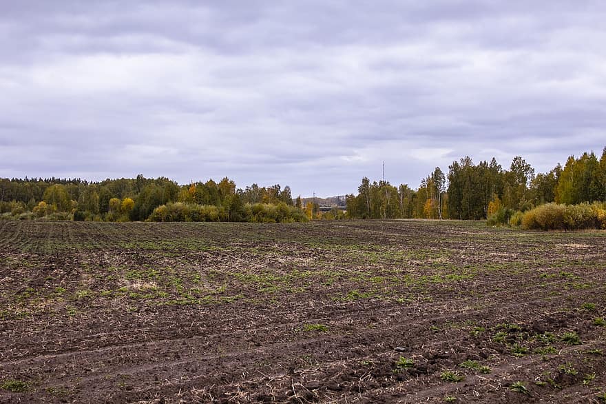 podzim, pole, zemědělské půdy, krajina, venkov