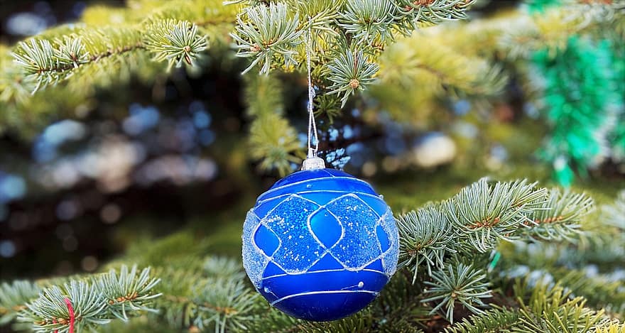 arbre de Nadal, Nadal, bola de nadal, picea, decoració, festiu, tema, motiu, disseny, arbre, celebració