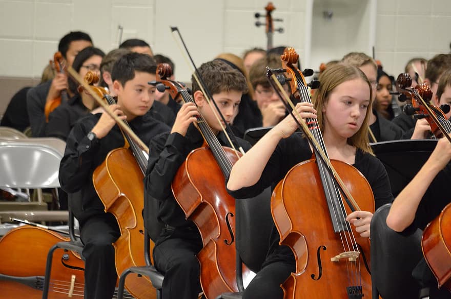 kinderen, cello, orkest, muziek-, klassieke muziek, muziekinstrument, instrument