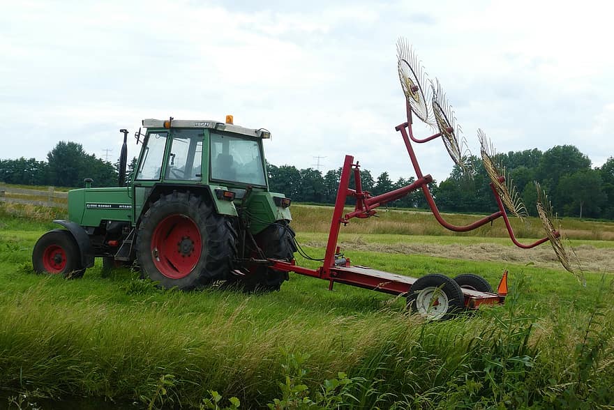 tractor, maquinaria de agricultura, pradera, La hierba para sacudir, La hierba está girando, pasto, verano, área rural, campo, pólder, paisaje