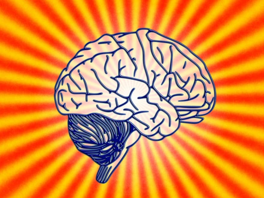 smadzenes, zinātne, bioloģija, psiholoģija, Smadzeņu izpēte, izpratne, psihoanalīze, zemapziņas prātā, bezsamaņā, psihe