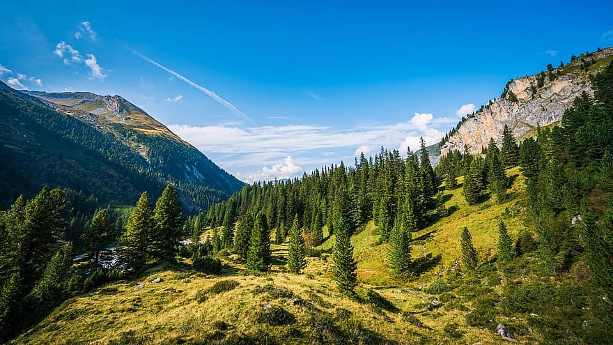 kalnai, miškas, medžiai, augmenija, takas, kelias, Alpių, Sportas, žygiai, aukščiausiojo lygio susitikime