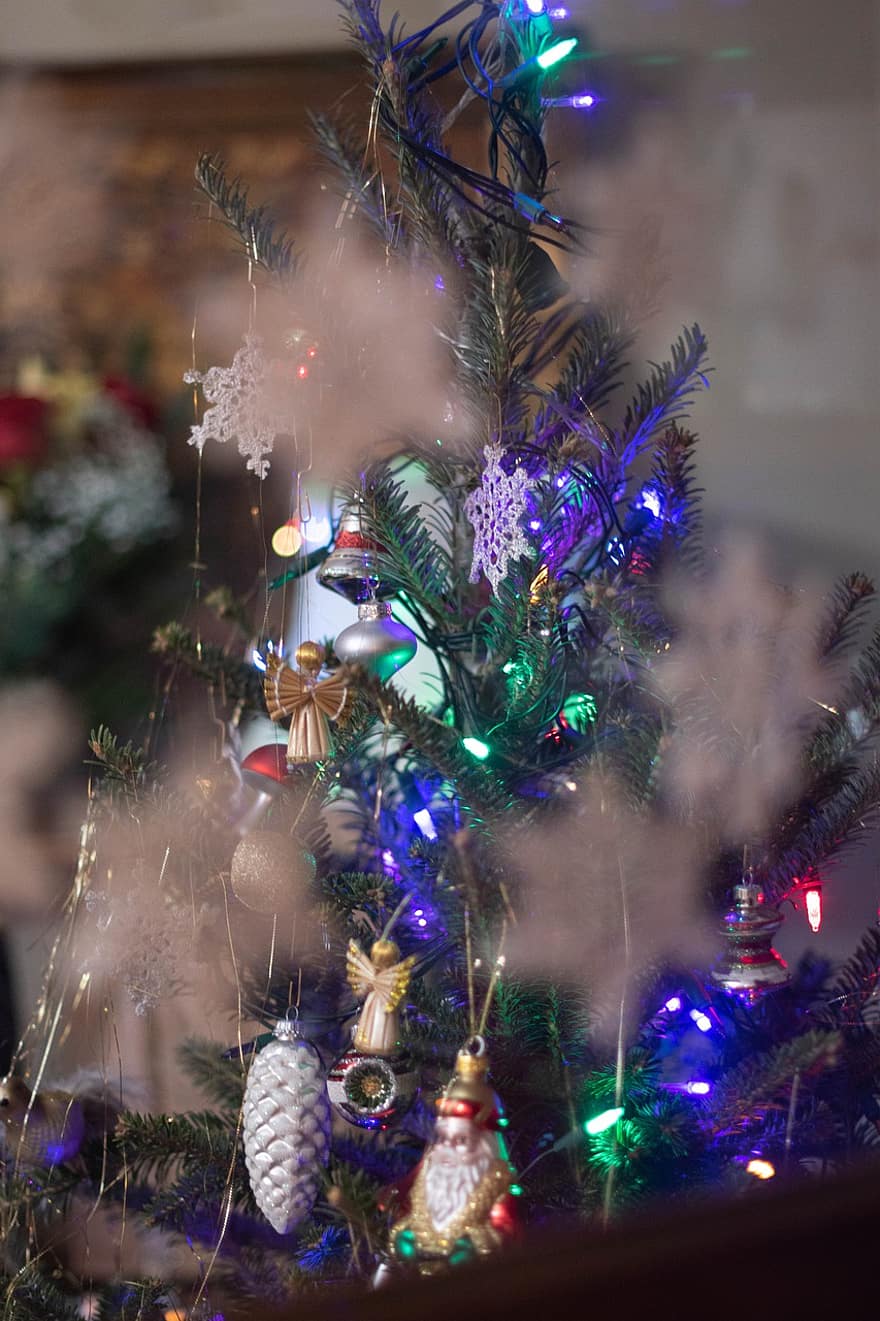 drzewo, drzewko świąteczne, wakacje, światła, dekoracja, tradycja, uroczystość, zimowy, pora roku, tła, oświetlony
