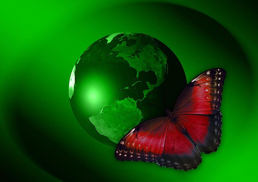 föld, földgolyó, pillangó, világ, bolygó, kontinensek, környezet, élő, védelem, fajok védelme, természetvédelem