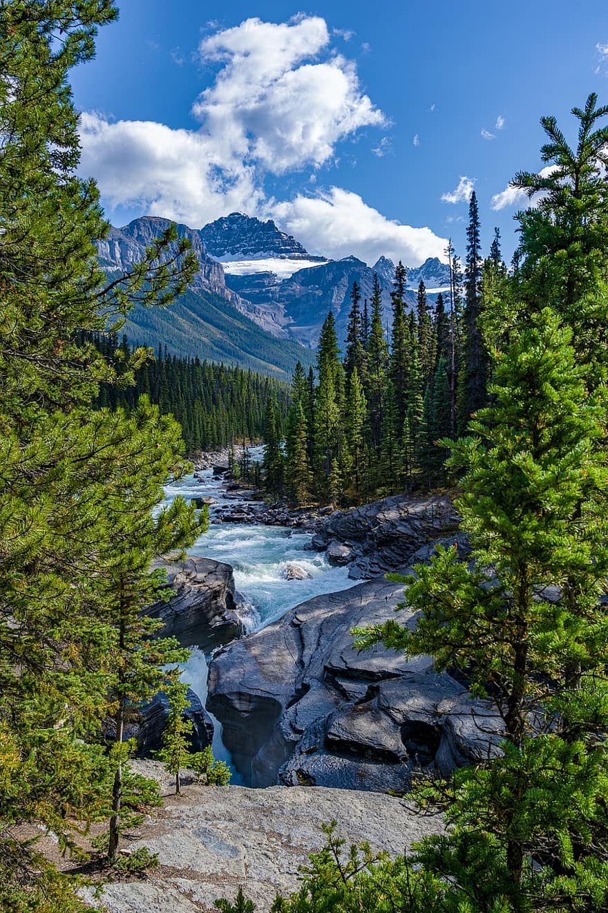 River, Rocks, Trees, Conifer, Forest, Creek, Stream, Woods, Stones, Coniferous, Mountains