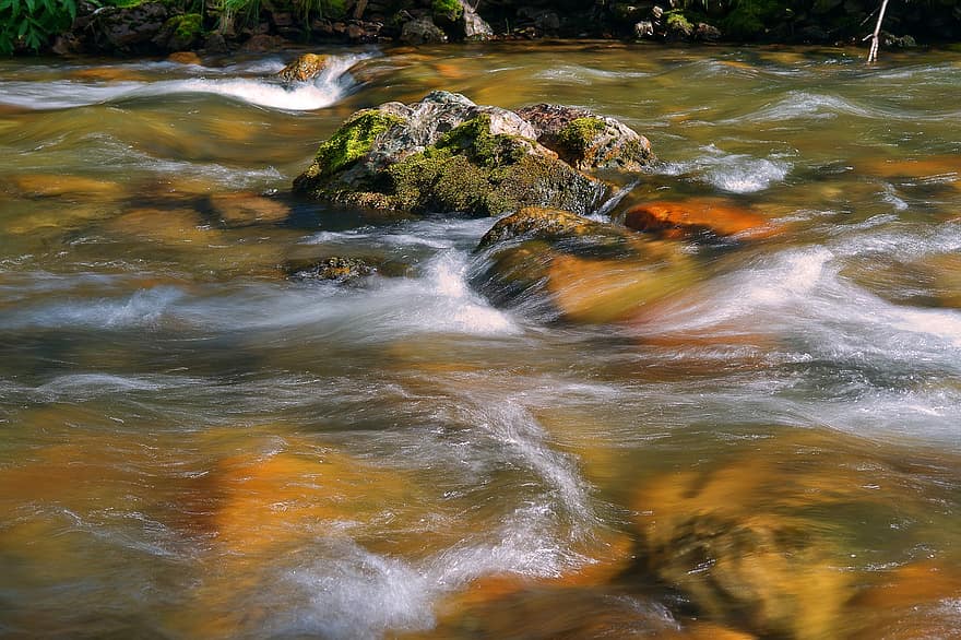 川、ストリーム、流れ、石、山岳、アルタイ、水、夏、森林、流れる、岩