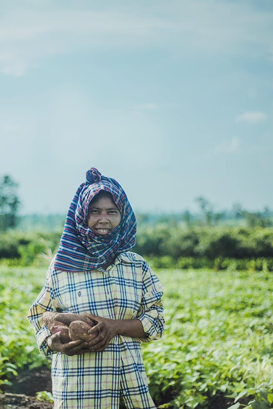 жена, земеделски производител, жътва, ферма, картофи