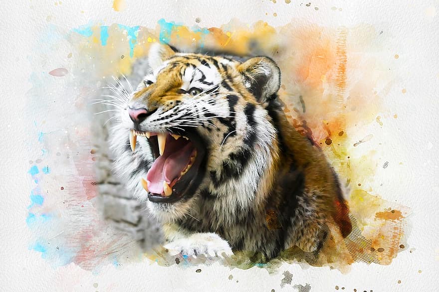 tiikeri, eläin, taide, abstrakti, akvarelli, vuosikerta, kissa, luonto, värikäs, taiteellinen, design