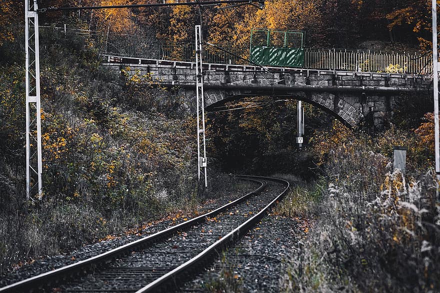 dzelzceļš, tilts, vilciens, rudenī, transportēšana, dzelzceļa sliežu ceļš, transporta veids, arhitektūra, vecs, mežs, dzeltens
