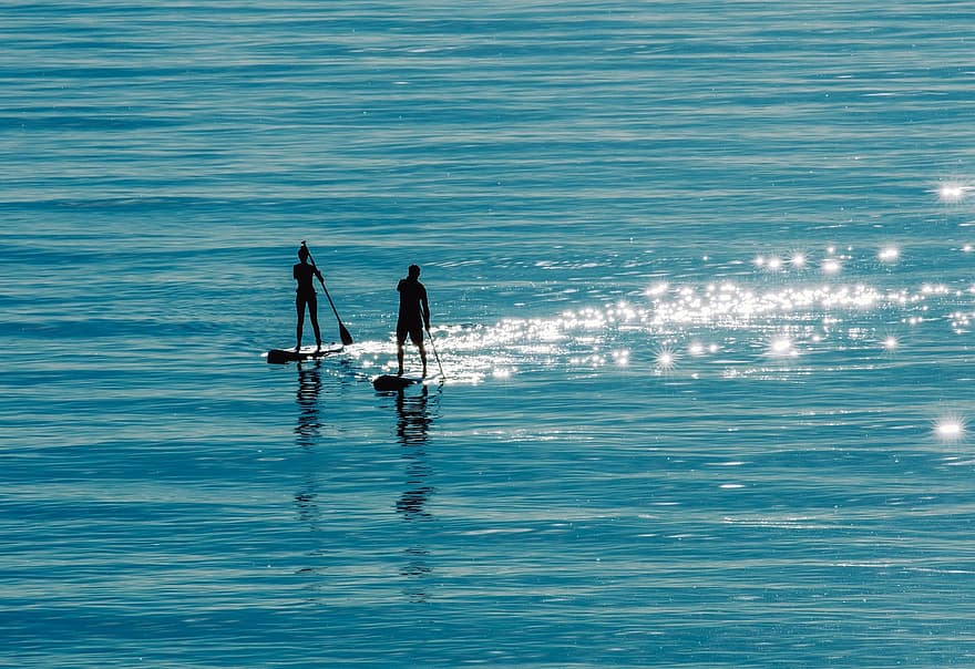 zee, stand-up paddle, peddelen, water, silhouet, sport, vrije tijd, oceaan