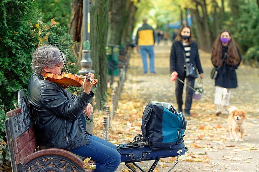 мъж, възрастен, талантлив, играете, Цигулката, грижа, пейка, вид анорак, естествено, есен, хора