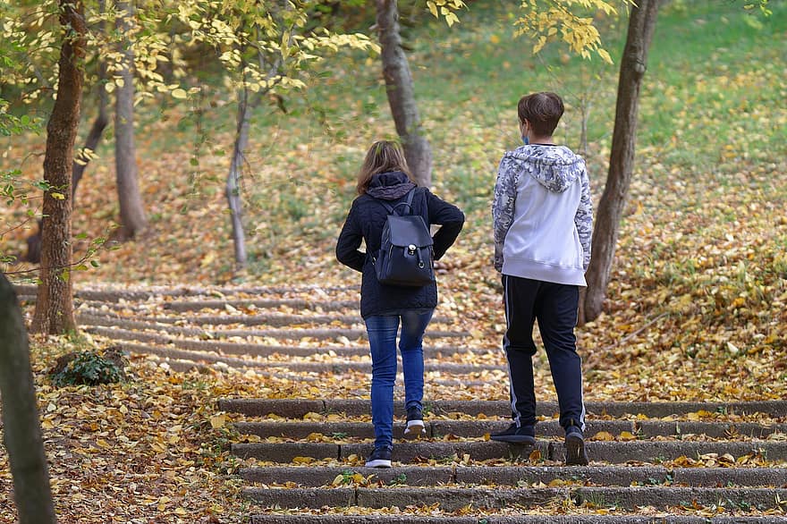 coppia, giovane, arrampicata, le scale, insieme, parco, autunno, uomini, donne, foresta, a piedi