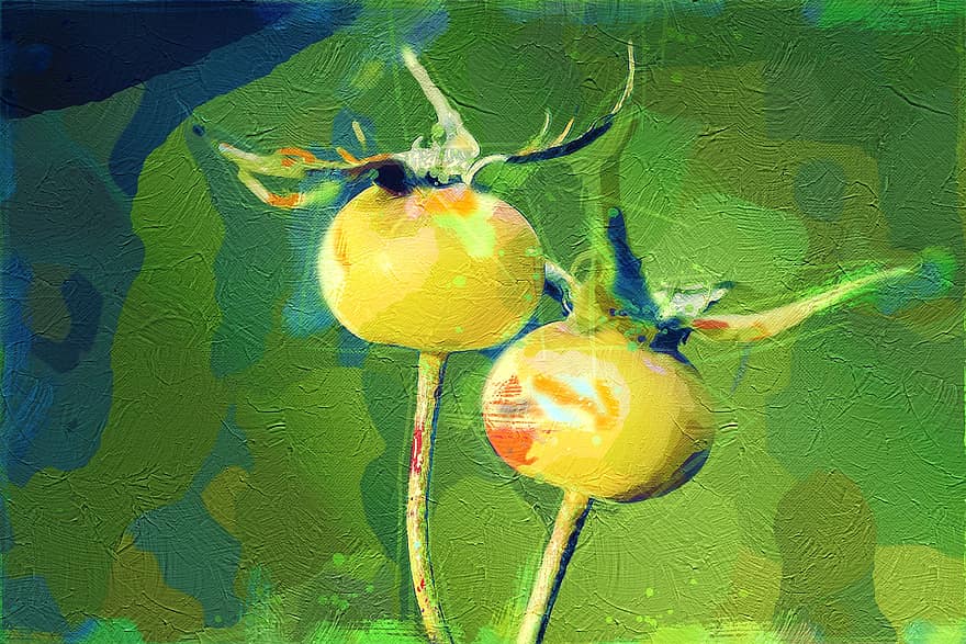 Rose Hips, Painting, Art, Macro, Growth, Organic, Nature, Plant, Fruit, Abstract, Creativity