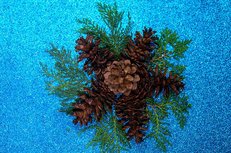 Pine Cones, Decoration, Holiday, Season, close-up, backgrounds, blue, leaf, plant, coniferous tree, winter